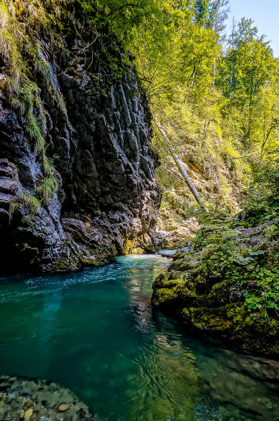 istock A stream of water flows through a rocky canyon 2195441523