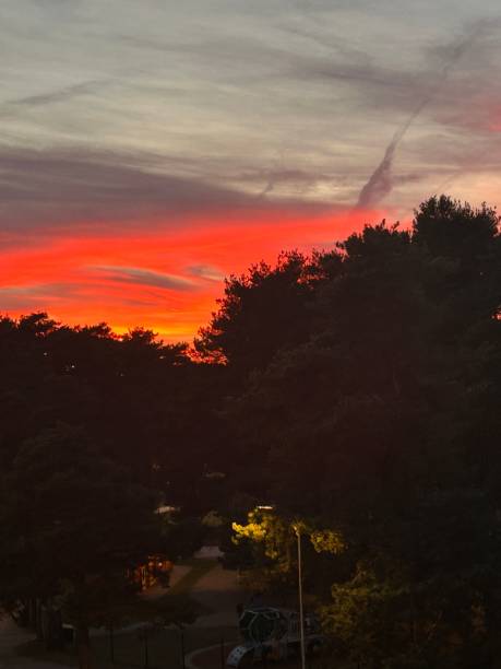 Vibrant sunset with fiery hues over trees.
