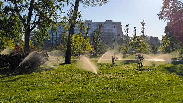 istock spring in the public park in sunlight 2195450511