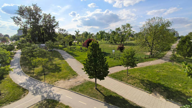 istock spring in the public park in sunlight 2195450533