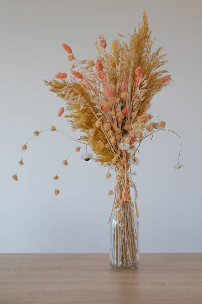istock Dried flower for interior decoration in a house 2195454061