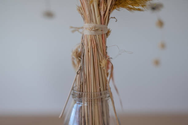 istock Dried flower for interior decoration in a house 2195454097