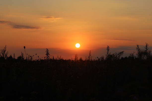 istock Summer close-up sunset sky landscape. Wallpaper 2195454248