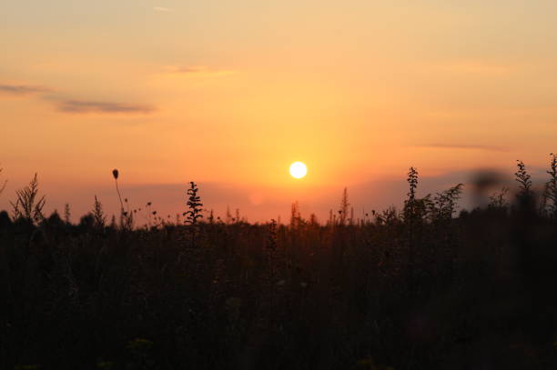 istock Summer close-up sunset sky landscape. Wallpaper 2195454249