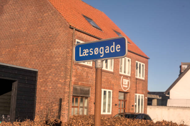 istock Street sign in Denmark 2195454259