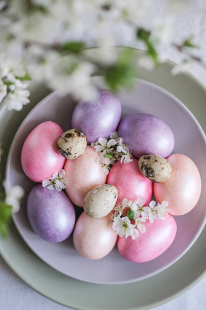 istock Top view of colorful pastel Easter eggs through cherry blossom branches 2195456955