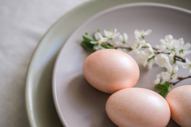 Close-up of peach Easter eggs and cherry blossom branch on grey plate. Easter table setting with minimalist floral decor