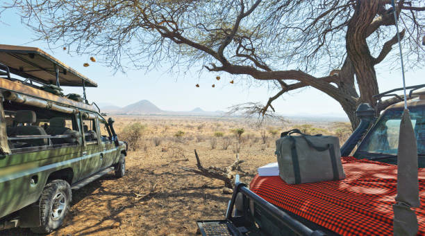 istock Two Rugged Safari Jeeps Parked in Remote Kenyan Wilderness View 2195460414