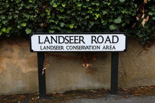 istock Landseer Road in Sutton, Greater London UK 2195464786