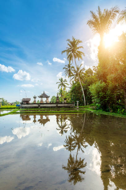 A captivating scene of a traditional Balinese temple reflecting in a tranquil rice field under a clear blue sky, surrounded by palm trees and illuminated by sunlight.