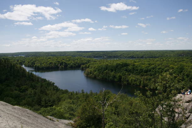 istock Lookout looking over a lake in ontario 2195485348