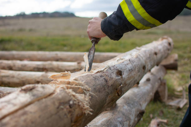 Log processing with traditional hand tools for cabin construction in the rural area of ​​Livna in Bosnia and Herzegovina
