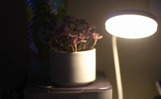 istock Study lamp and fake flowers 2195488397