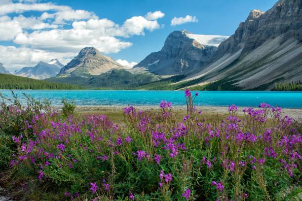 istock Scenic Canadian Mountains 2195489707