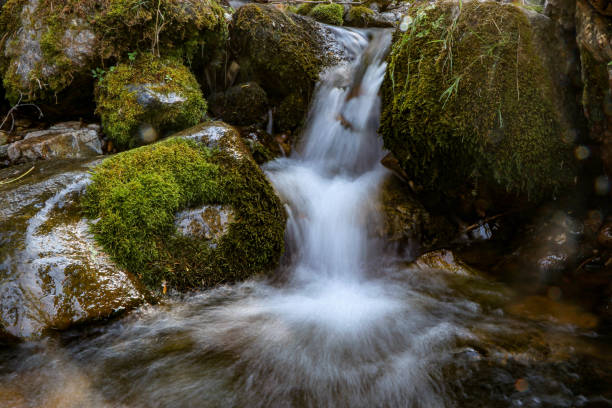 The photo shows a mini waterfall with a long exposure