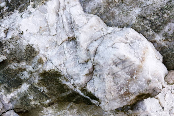 istock Natural Stone Texture with Organic Patterns for Design and Background 2195495689