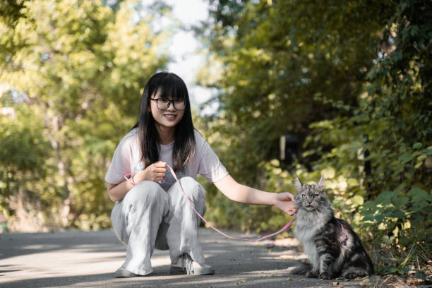istock The girl and the cat 2195495848