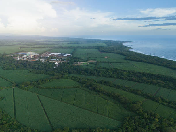 istock Factory plant next to ocean 2195497988