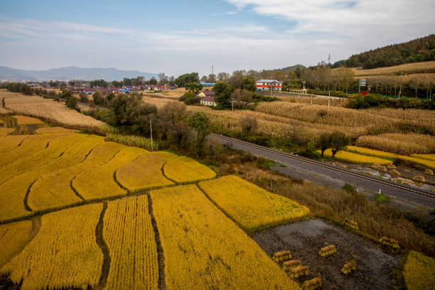 istock View of rice paddies 2195500250