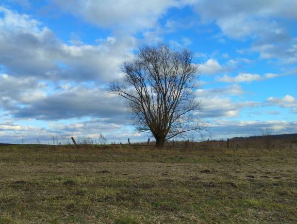 Landscape (Urdenbacher Kämpe near Düsseldorf) along the old riverbed of the Rhine (Old Rhine).