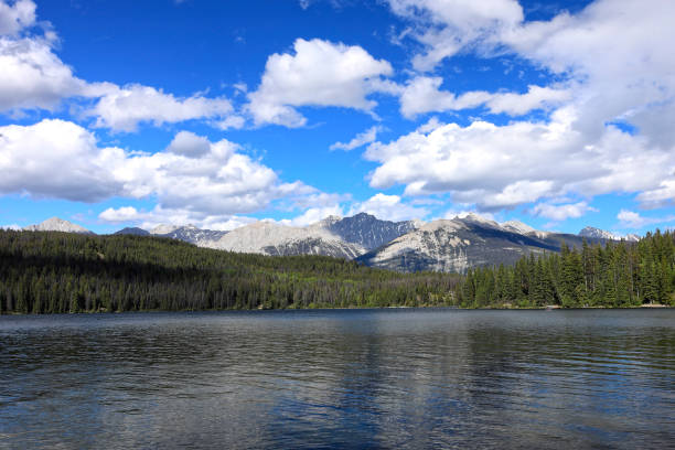 Saskatchewan River Crossing during Summer. Howse Pass Viewpoint,  Banff, Canada