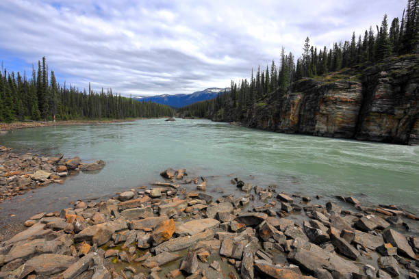 istock Athabasca valley and waterfalls, Jasper National Park 2195509710