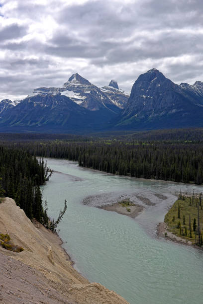istock Athabasca valley and waterfalls, Jasper National Park 2195509731