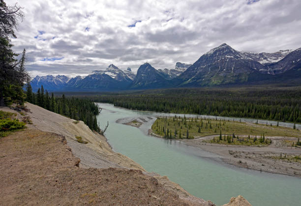 istock Athabasca valley and waterfalls, Jasper National Park 2195509736