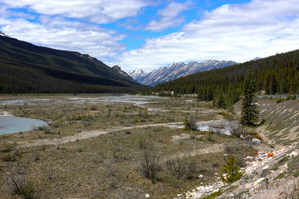 istock Athabasca valley and waterfalls, Jasper National Park 2195509763