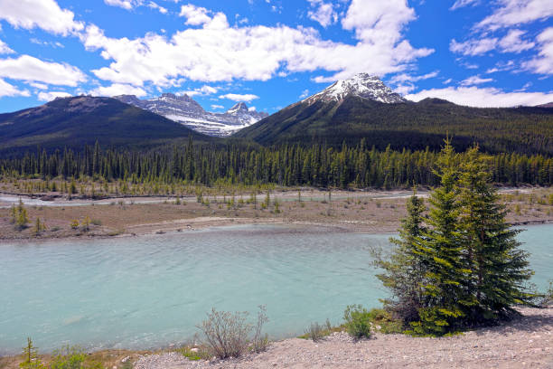This image of David Thompson country was taken just fifteen minutes east of Saskatchewan River Crossing in the Canadian Rockies. Black and white image.