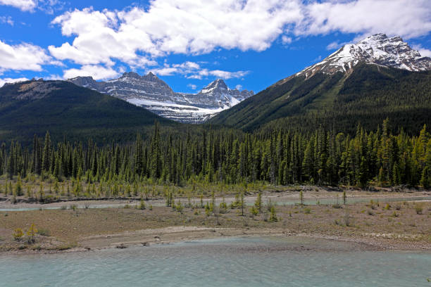 istock Athabasca valley and waterfalls, Jasper National Park 2195509811