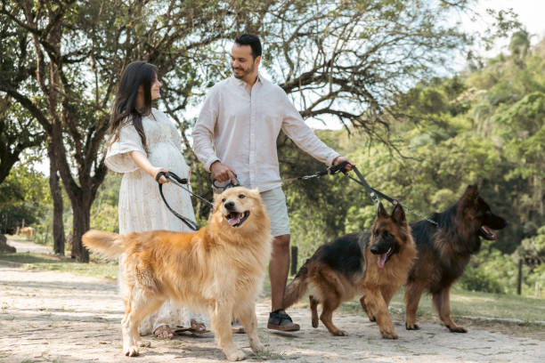 istock Couple walking dog in park 2195510141