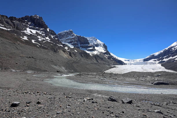 istock Columbia Icefield,  Jasper National Park 2195512860