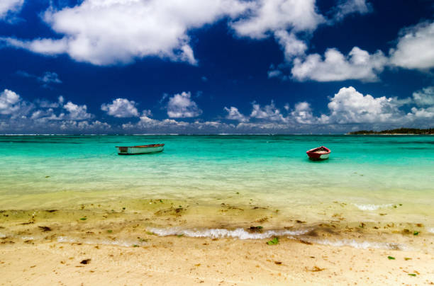 istock Belle Mare beach, flacq, mauritius 2195512916