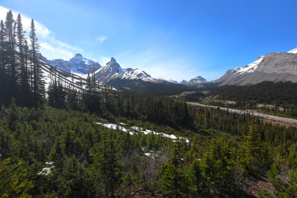 istock Parker Ridge Trail, Jasper National Park 2195517684