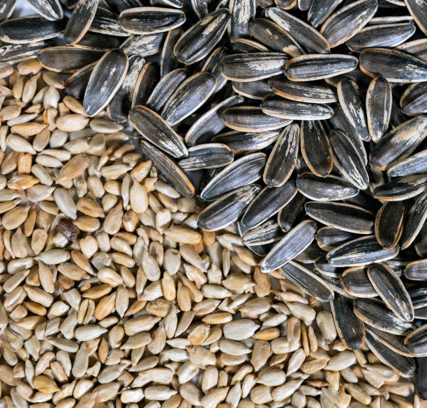 Sunflower seeds black with stripe and peeled seeds