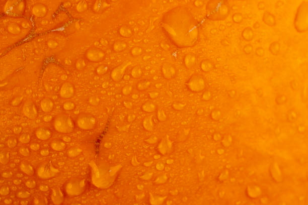 istock orange pumpkin wet in water close-up 2195522323