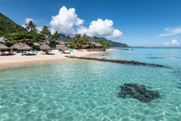 istock Moorea tropical beach landscape, French Polynesia 2195522589