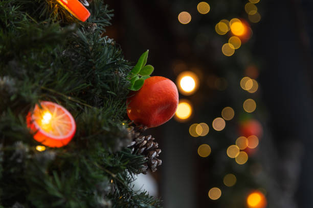 Decorative holiday wreath adorned with citrus lights and vibrant fruit in a cozy setting during the festive season