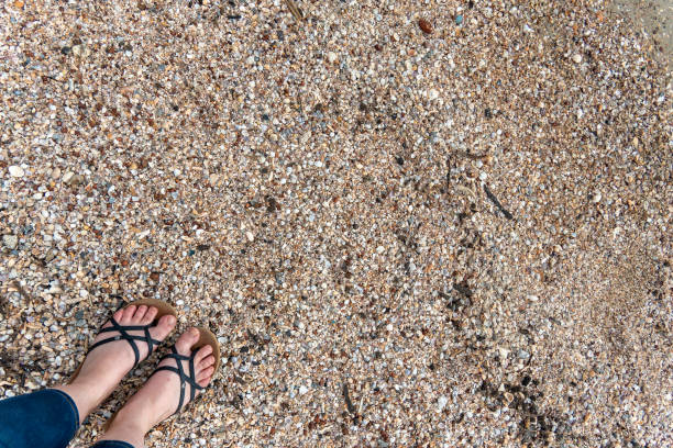 istock Footprints in the sand create a serene moment by the beach during a sunny day 2195524683