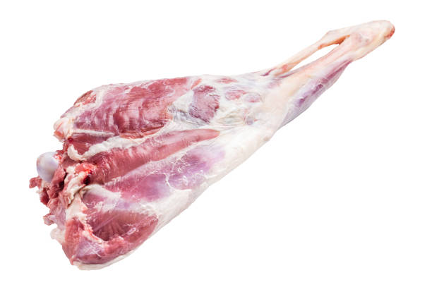 istock Raw whole goat leg, fresh meat isolated on white background. top view 2195524953