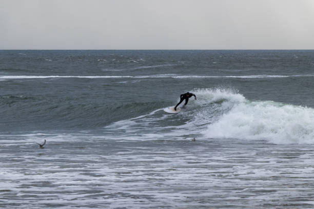The Pacific Rim National Park on Vancouver Island on April  28, 2023:   Male engaged in surfing at Pacific Rim National Park on Vancouver Island at sunset, British Columbia