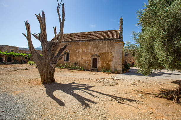 The trunk of the cypress where you can still find embedded bullets from the battle that took place in 1866.Arkadi monastery,Rethimnon,Crete,Greece