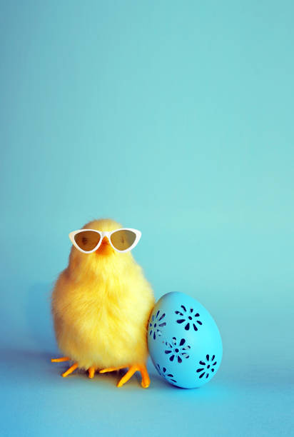 An Easter decoration with cool chicken and egg. Easter holiday concept.