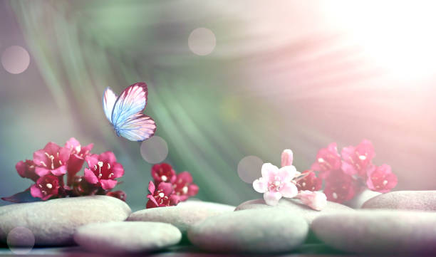 istock Spa stones with palm branch and flowers on grey background. Spa concept 2195526004