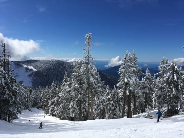 istock A Few Skiiers on a Bluebird Day 2195528085