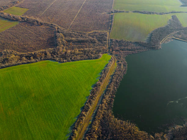 istock Aerial lakeside landscape with green fields merging into a dense forest on the horizon 2195529922