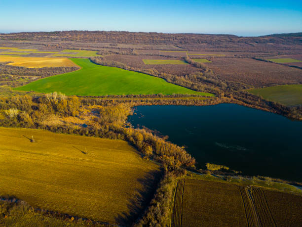 istock Aerial lakeside landscape with green fields merging into a dense forest on the horizon 2195529928