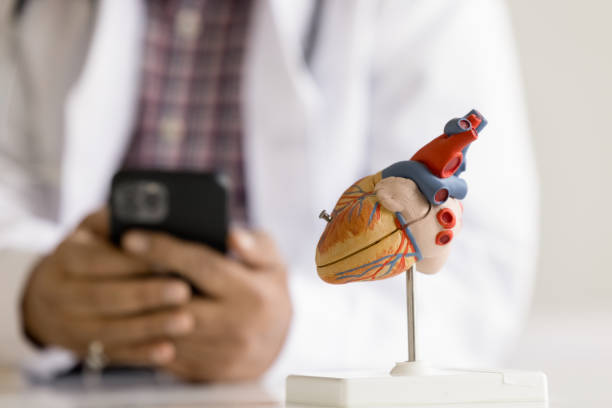istock Artificial heart model and doctor on background using smartphone, closeup 2195532354