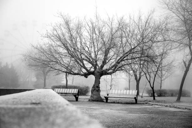 Park bench in Mountain Top Arboretum in Tannersville, New York State.